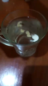 Essen oplosan ikan mas lele bawal nila 100x lebih gacor meningkatkan agresif ikan bisa cod