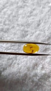 รอบที่-4 ก-27 อำพันพม่าแบบมีแมลง อำพันแท้ 100%