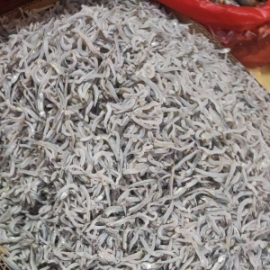 tn.k/medan kering teri kacang ukuran kecil rata garing murah berkualitas 100%