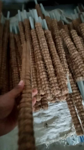 beli 2 dapat 1 media turus tanaman bunga janda bolong 60 cm ber kualitas baik ready stock
