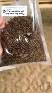 1kg Sâu canxi sấy khô dinh dưỡng cho gà SÂU CANXI SẤY PHỒNG - Thức ăn cho gà đá hamster cá cảnh sóc bông nhím