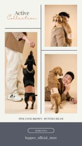 Happee Set Obi Active+Pad โอบิสุนัข รุ่น Active ผ้าคาดเอวสุนัข ผ้าอ้อมสุนัขตัวผู้ พร้อมแผ่นซับฉี่