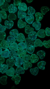 Manik Love Luxury Gembul & Glow in the Dark Glitter