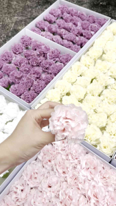 LELE (50pcs)Bunga Teluki Sabun 新款韩风香皂康乃馨 NEW Korea Style Carnation Soap Flower