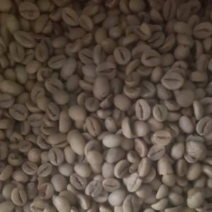 Kopi mentah Green bean Robusta grade 2 kemasan 1 kg