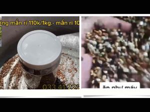 khoáng chim cu gáy