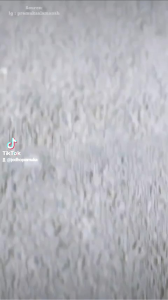 Bendera Semaphore + Stik Tongkat (Sepasang) / Bendera Semaphor