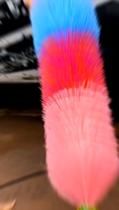 Sikat Cuci Ban Motor & Mobil: Alat Cuci Motor Berkualitas