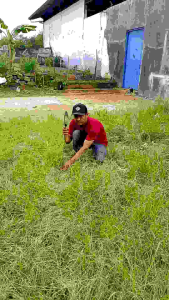 Sabat Golong Baja Asli: Peralatan Berkualitas Tinggi untuk E-commerce & Berbagai Kebutuhan