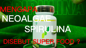 Neoalgae daily nutrisi terbaik untuk perbaiki sel sperma
