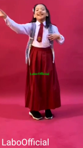 Setelan Seragam Sekolah SD Perempuan Lengan Panjang Rok Merah Panjang