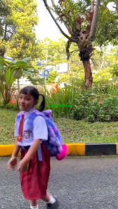 Setelan Seragam Sekolah SD Laki-laki Lengan Pendek Celana Pendek