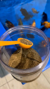 High Protein 40% Fish Sinking Pellet 1.5mm(500g /1000g ) Suiable For all the goldfish /prawn/crayfish/carp/Plecostomus/Discus/Cichild/and all freshwater fish