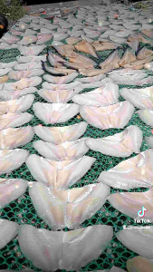 ปลาสลิดแดดเดียว สูตรเค็มน้อย 8-10 ตัวโล