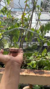 Meka - Mica kính đèn hậu  Đèn biển số Jupiter mx Jupiter gravita chính hãng YAMAHA