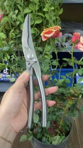 👉Kéo cắt gà Nhật bãi hàng dùng lướt mới 99% Cân nặng 380g cầm đầm tay chắc chắn.