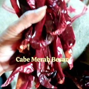 cabe merah besar wonder hot (tidak pedas) 1kg cabai merah