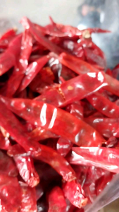 1kg CABE MERAH BESAR KERING KUALITAS SUPER BAGUS Tidak Pedas