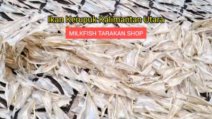 500 Gram Ikan Asin Kerupuk Tipis  Best Tarakan Product Super