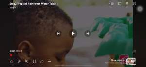 โต๊ะเล่นน้ำพร้อมน้ำตก Step2 Tropical Rainforest Water Table ธีมป่าดิบชื้น