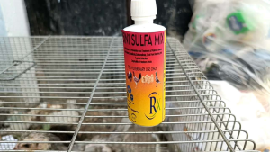 5in1 Sulfa Mix For chicks chicken anti infective prevention and treatment Fowl Cholera
