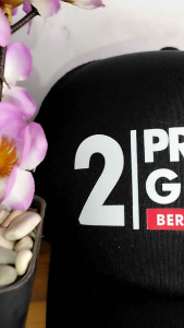 Topi Prabowo Gibran 2024