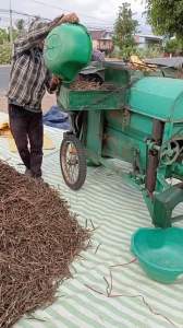 Bột Đậu Đen Xanh Lòng Nguyên Chất 500G : Mua 1 Tặng 50ML Mật Ong Mua 2 Tặng 100ML Mật Ong