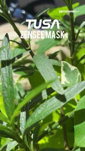 หน้ากากดำน้ำเลนส์เดี่ยว – M1010 Zensee/ M1010S Zensee Pro/ M1010F Zensee Fabric Strap แบรนด์ TUSA – Low Volume