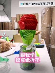 Honeycomb Papar 1pcs 50cm x 50cm 80GSM