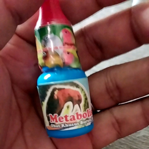 Metabolis Obat Khusus Burung Berkicau Burung Mabung Macet Bunyi