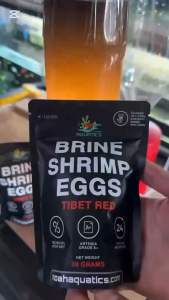 Brine Shrimp Eggs by Noah Aquatics | Tibet Red | Bohai Bay | Artemia Cysts | 30g | 60g | 200g