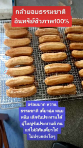 กล้วยอินทรีย์ อบธรรมชาติ คัดกล้วยอินทรีย์ 100% จากสวนเกษตร ผลิตด้วยการอบธรรมชาติ สะอาดปลอดภัย ขนาดบรรจุ 170 และ 500 กรัม