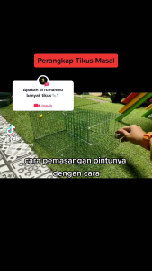 Perangkap Tikus Panjang Jebakan Tikus Masal