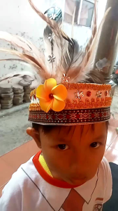 Mahkota Kombinasi Kain & Jepun & Bulu: Desain Elegan Untuk Pesta