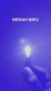 2 pcs-LAMPU SEN SEIN T10 SENJA MODE KEDIP BANYAK PILIHAN WARNA 12 VOLT