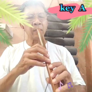 ขลุ่ยเสียงสากล คีย์ A รุ่น ลมพริ้ว สีน้ำตาลลายไม้ แถมฟรีถุงใส่ขลุ่ย มูลค่า 50.-