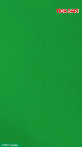 Tiga Sapi Susu Evaporasi 500gr (isi 12) - DUS