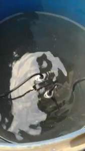 Pompa Celup KYODO SKD 750SA Pompa Kolam Ikan Koi 2 Inci