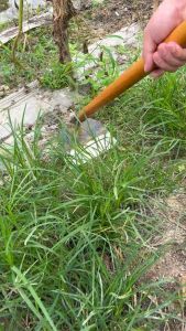 Alat Cangkul Kepala Pengganti Baja Taman Cangkul Pertanian Cangkul Tangan Cangkul Tangan Alat Pelepas Cangkul Kepala untuk Berkebun Penanaman Penggalian BERKUALITAS