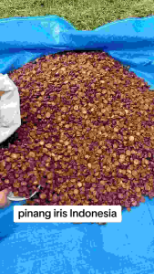 PINANG Koin KERING jambe iris 1kg