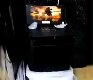 kD-203 Family Party Speaker: A Portable Bluetooth Karaoke System with 2 Wireless Microphones & 3D Stereo Amplifier