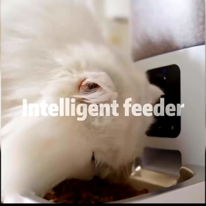 Auto Pet Feeder รุ่น EF1( รุ่นมี App) เครื่องให้อาหารอัตโนมัติ มีกล้อง Wifi สามารถตั้งเวลาให้อาหารได้ ความจุ 3 ลิตร