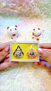 เข็ม ๗๒ พรรษา และ เข็มบรมราชา แบบแม่เหล็กคู่(แผ่นใหญ่)