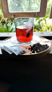Teh Angkung Kering Obat Herbal Stroke Diabet & Darah Tinggi