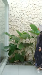 Davina Dress ( Kode Motif B ) Terbaru By Al-Faro Ori Dress Sultan Mewah Model Kekinian Terlaris