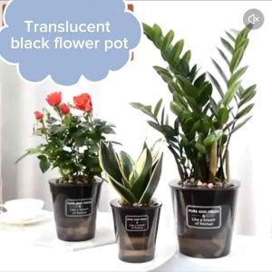 Nordic Style Self - watering Pot Translucent Self Watering Pot Indoor Balcony