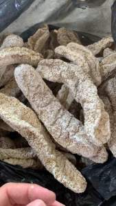 [đặc sản nha trang] 200g hải sâm trắng dùng để ngâm