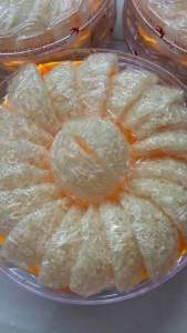 HỘP 5 TỔ YẾN VỤN NGUYÊN CHẤT TẶNG KÈM THỐ CHƯNG VÀ BỘ NGUYÊN LIỆU CHƯNG