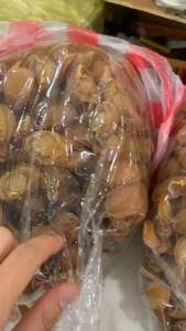 [bào ngư size đại]100g bào ngư tự nhiên size đại 100g/7-9 con