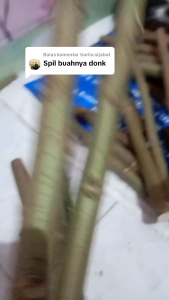 Paket Hemat Bibit Telo Papua 20CM 30 Batang Campur Tua Muda Besar Kecil